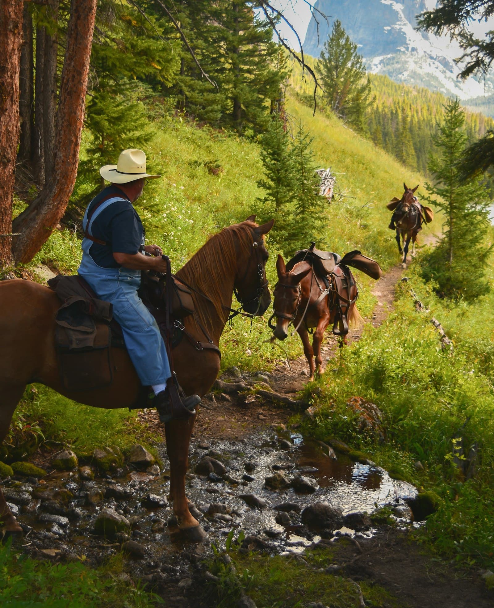 Comitiva a cavalo atravessando trilha de montanha