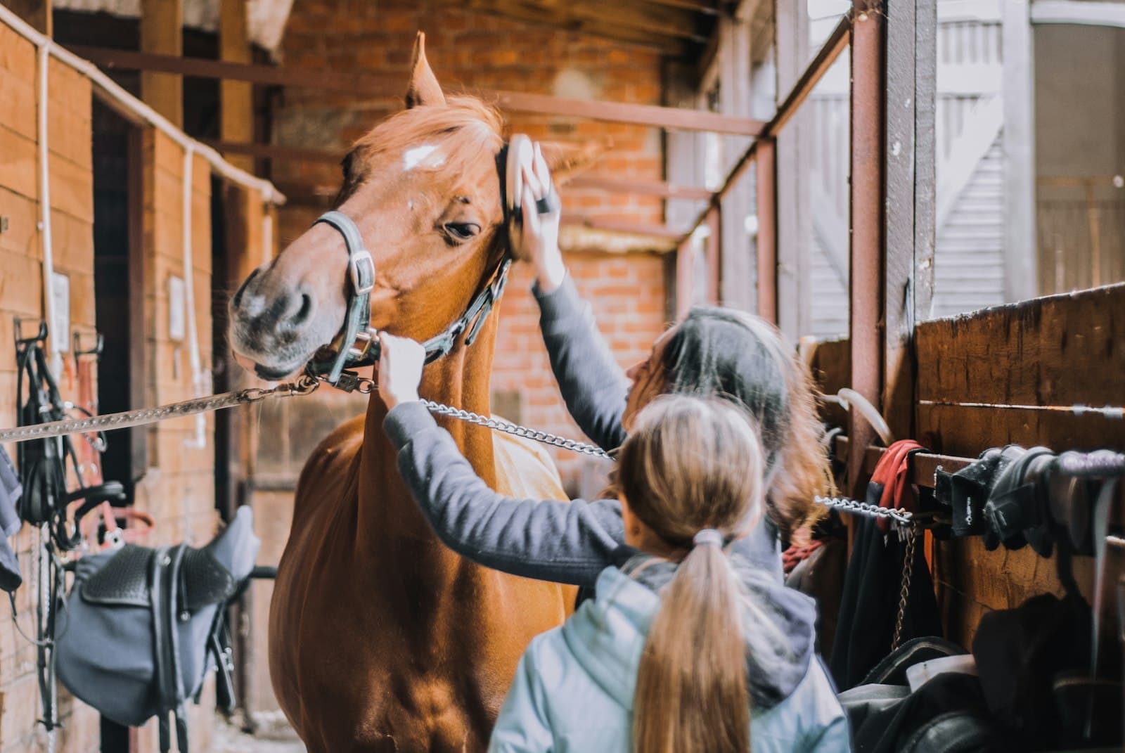 Criança acariciando um cavalo dentro da baia do haras