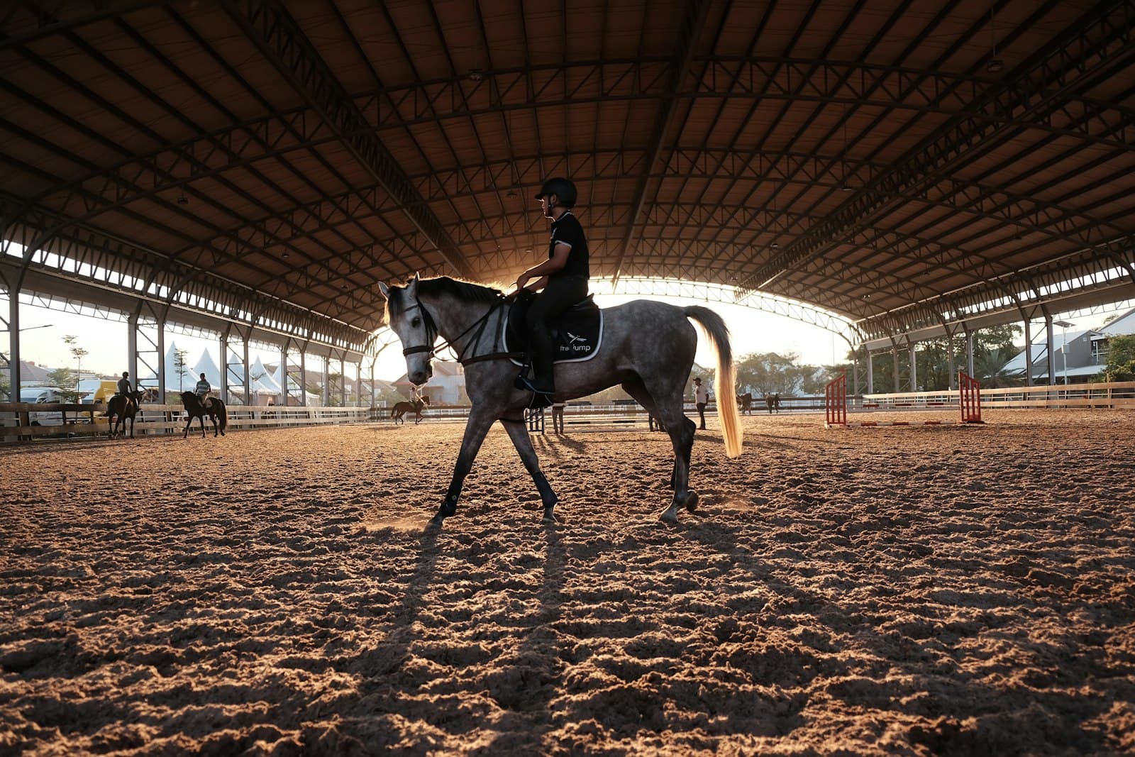 Treino em picadeiro coberto com cavalo selado